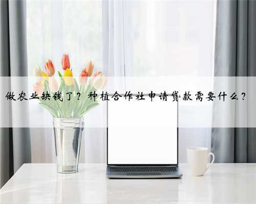 做农业缺钱了？种植合作社申请贷款需要什么？
