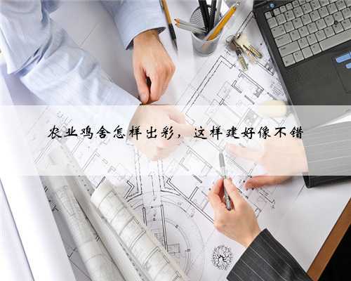 农业鸡舍怎样出彩，这样建好像不错