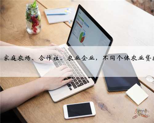 农民、家庭农场、合作社、农业企业,不同个体农业贷款流程