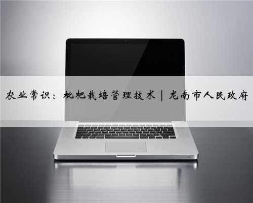 农业常识：枇杷栽培管理技术 | 龙南市人民政府