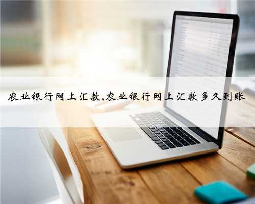 农业银行网上汇款,农业银行网上汇款多久到账