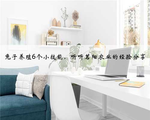 兔子养殖6个小技能，听听茗阳农业的经验分享