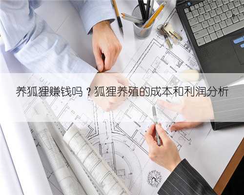 养狐狸赚钱吗？狐狸养殖的成本和利润分析