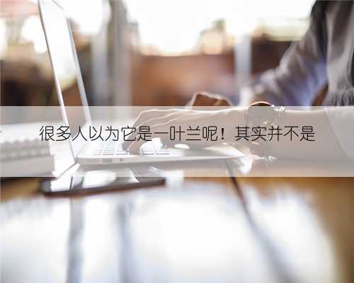 很多人以为它是一叶兰呢!其实并不是