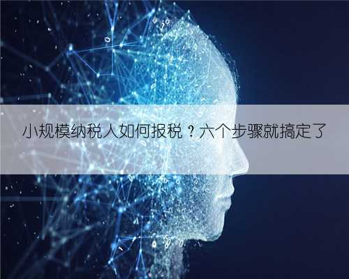 小规模纳税人如何报税?六个步骤就搞定了