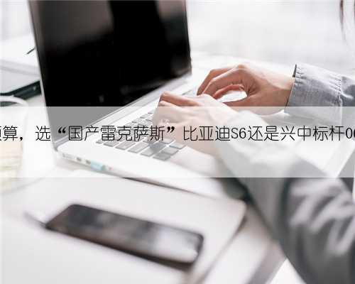 5万多预算，选“国产雷克萨斯”比亚迪S6还是兴中标杆06年奥迪