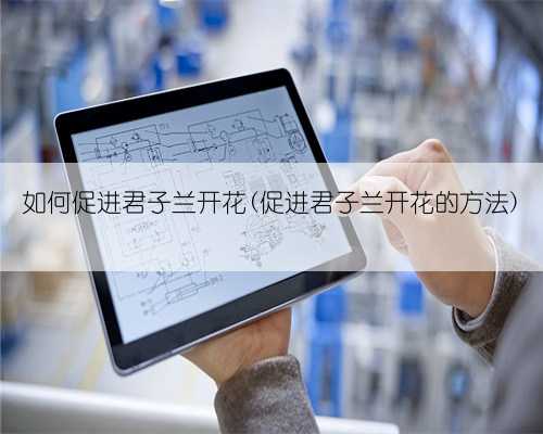 如何促进君子兰开花(促进君子兰开花的方法)