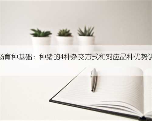 猪场育种基础:种猪的4种杂交方式和对应品种优势讲解