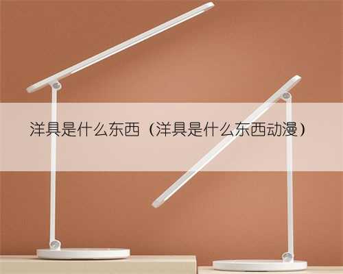 洋具是什么东西(洋具是什么东西动漫)