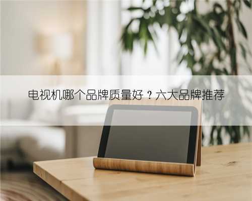 电视机哪个品牌质量好?六大品牌推荐