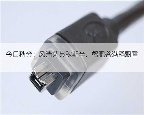 今日秋分：风清菊黄秋期半，蟹肥谷满稻飘香