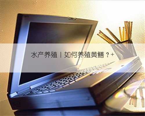 水产养殖｜如何养殖黄鳝？
