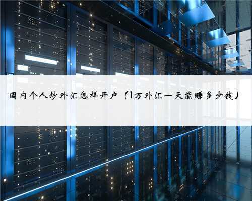 国内个人炒外汇怎样开户（1万外汇一天能赚多少钱）