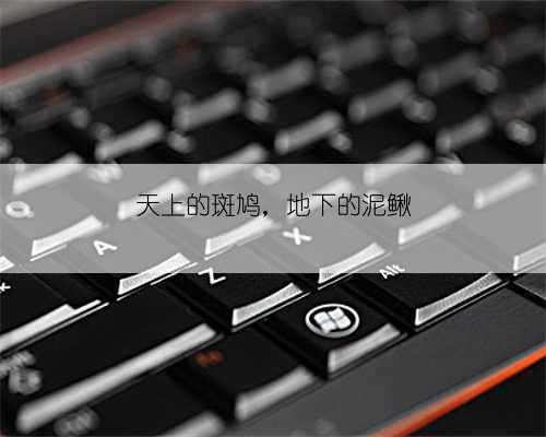 天上的斑鸠,地下的泥鳅