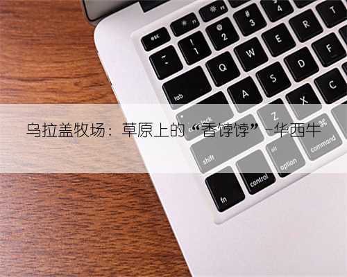 乌拉盖牧场:草原上的“香饽饽”-华西牛