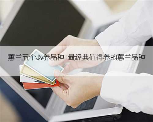 蕙兰五个必养品种 最经典值得养的蕙兰品种