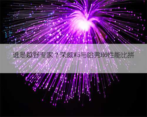 谁是越野专家?荣威W5与哈弗H6性能比拼
