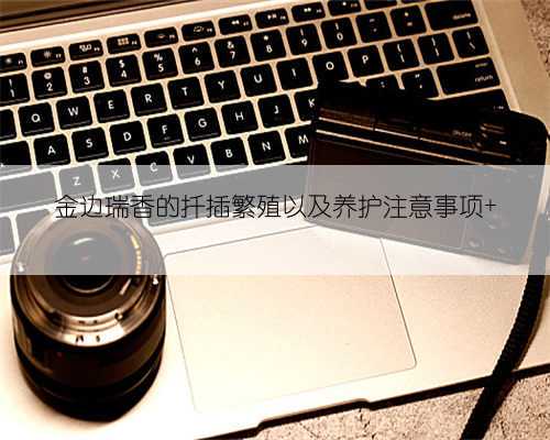 金边瑞香的扦插繁殖以及养护注意事项