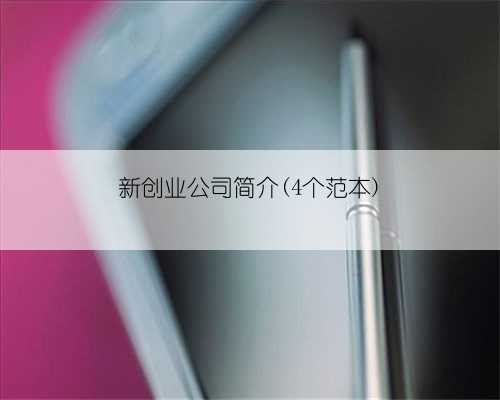 新创业公司简介(4个范本)