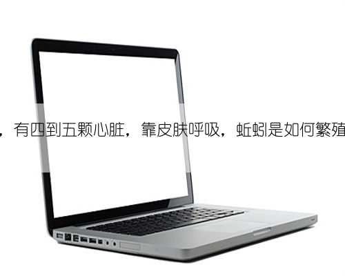 雌雄同体，有四到五颗心脏，靠皮肤呼吸，蚯蚓是如何繁殖后代的？