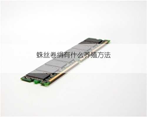 蛛丝卷绢有什么养殖方法