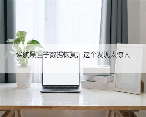 埃航黑匣子数据恢复，这个发现太惊人