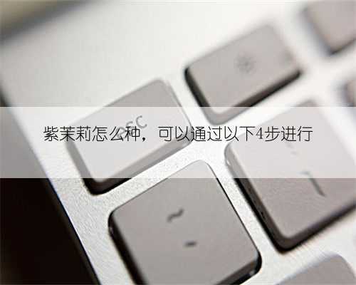 紫茉莉怎么种，可以通过以下4步进行