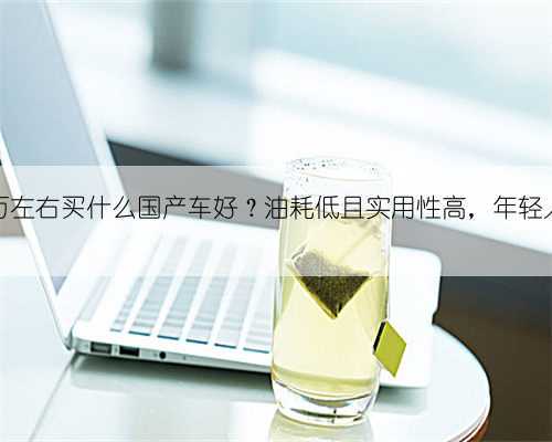 预算15万左右买什么国产车好?油耗低且实用性高,年轻人别错过