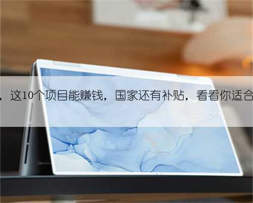 在农村，这10个项目能赚钱，国家还有补贴，看看你适合哪些？