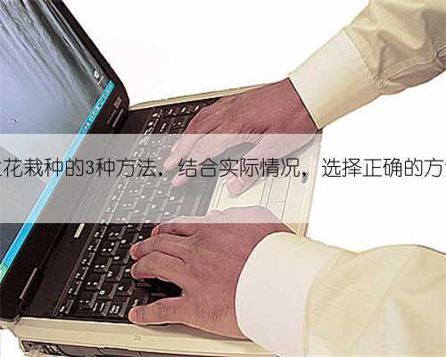 兰花栽种的3种方法,结合实际情况,选择正确的方法