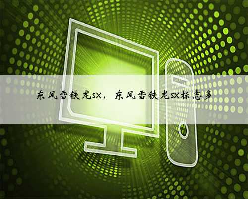 东风雪铁龙sx，东风雪铁龙sx标志多