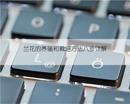 兰花的养殖和栽培方法八步详解