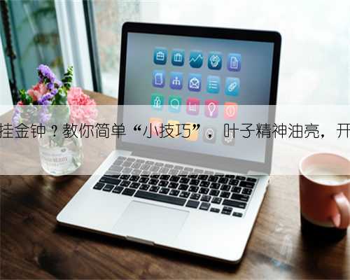 不会养倒挂金钟?教你简单“小技巧”,叶子精神油亮,开花不间断