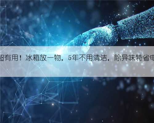 超有用！冰箱放一物，5年不用清洁，除异味特省电