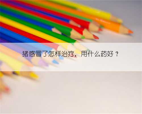 猪感冒了怎样治疗,用什么药好?
