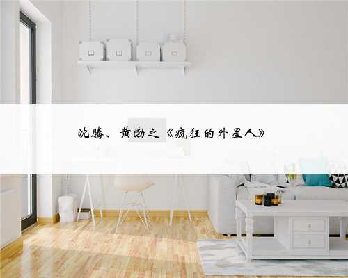 沈腾、黄渤之《疯狂的外星人》