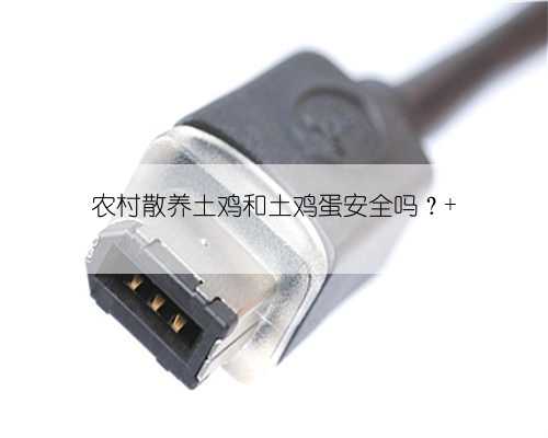 农村散养土鸡和土鸡蛋安全吗？