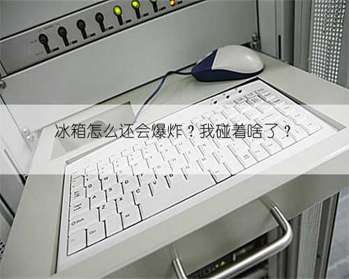 冰箱怎么还会爆炸？我碰着啥了？