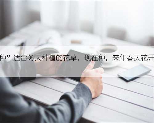 “24种”适合冬天种植的花草,现在种,来年春天花开满园