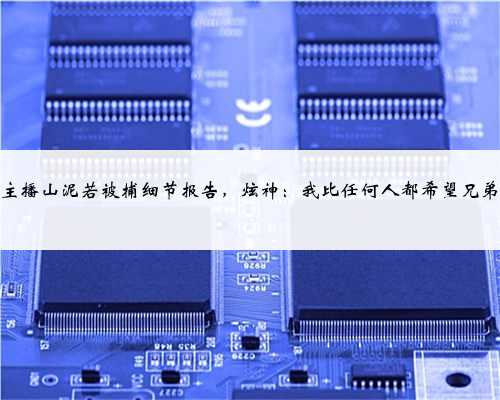 知名主播山泥若被捕细节报告，炫神：我比任何人都希望兄弟回归
