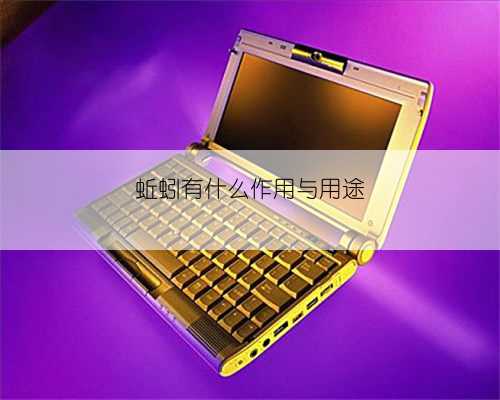 蚯蚓有什么作用与用途