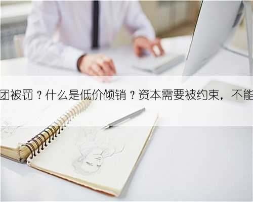 为什么美团被罚？什么是低价倾销？资本需要被约束，不能为所欲为