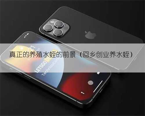 真正的养殖水蛭的前景(回乡创业养水蛭)