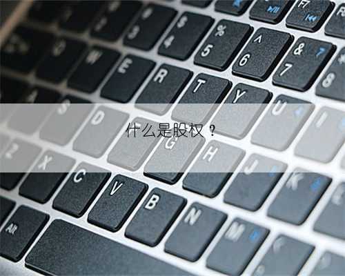 什么是股权？