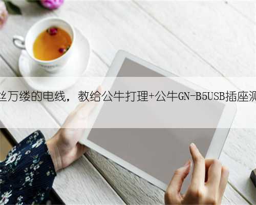 千丝万缕的电线,教给公牛打理 公牛GN-B5USB插座测评