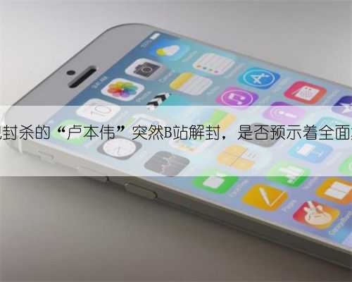 被央视封杀的“卢本伟”突然B站解封，是否预示着全面复出？