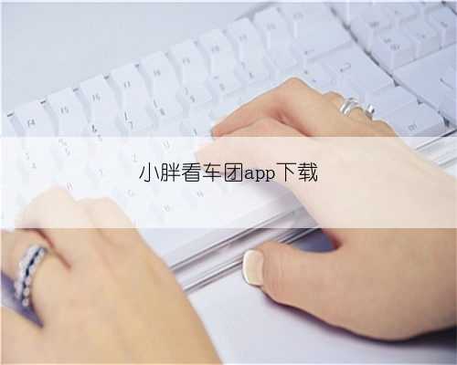 小胖看车团app下载