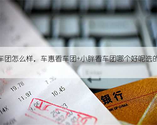 小胖看车团怎么样,车惠看车团 小胖看车团哪个好呢选的眼花了