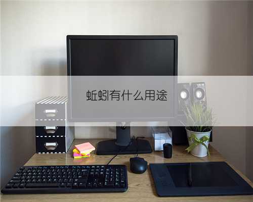 蚯蚓有什么用途