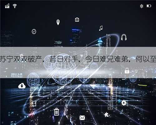 国美苏宁双双破产，昔日对手，今日难兄难弟，何以至此？